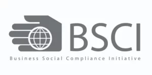 BCSI